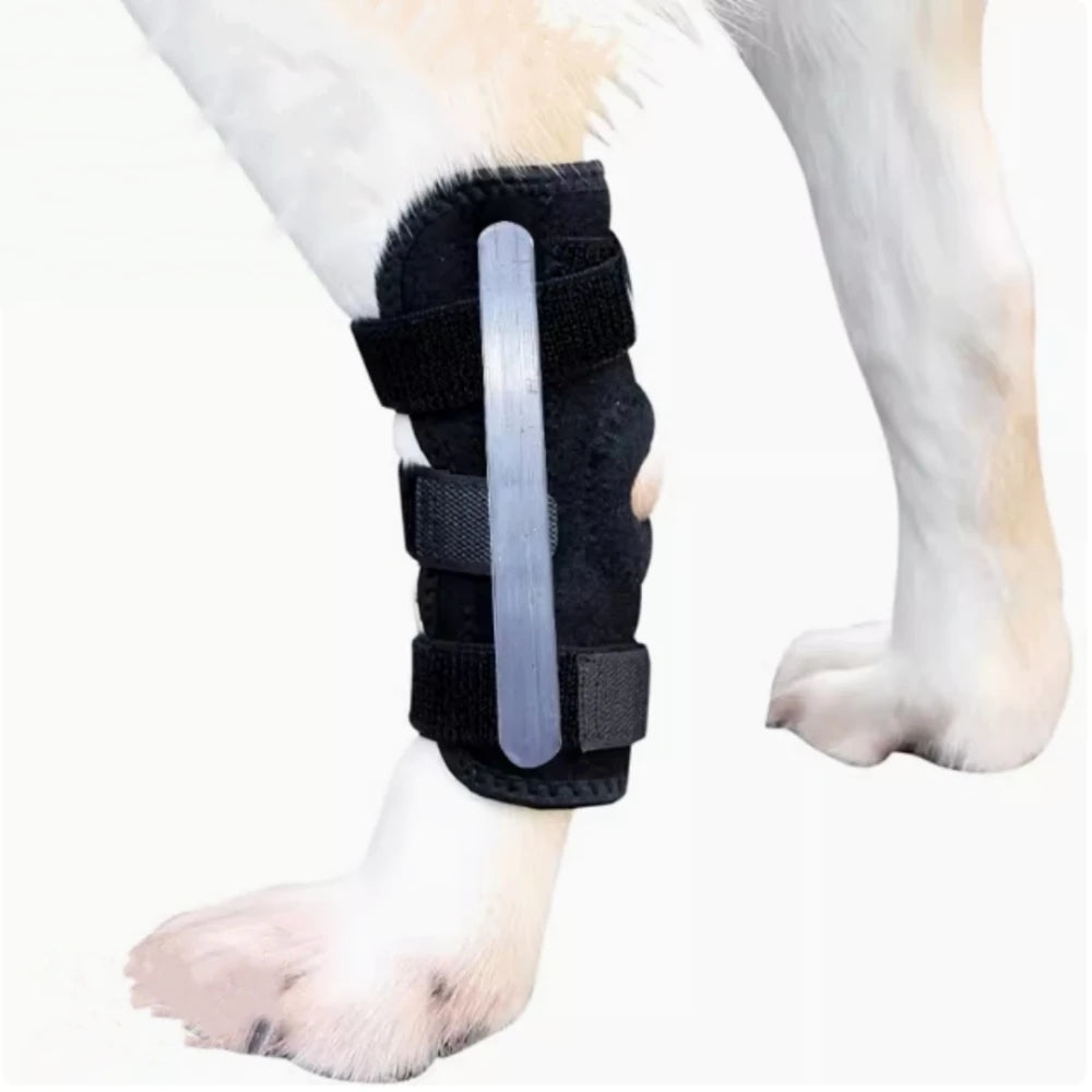 Genouillère de maintien pour chien – Patte arrière – vue 9 | MonPluto