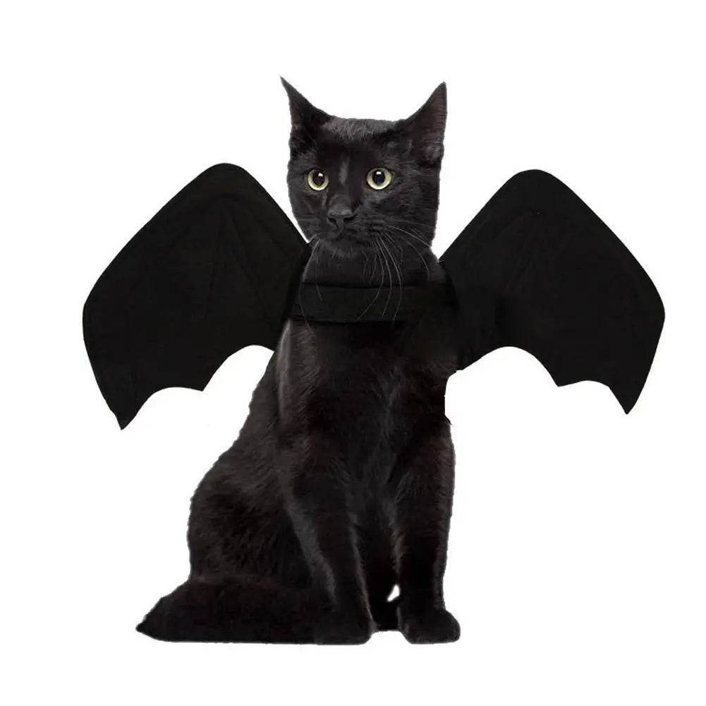 Harnais ailes de chauve-souris – Chat et chien | MonPluto