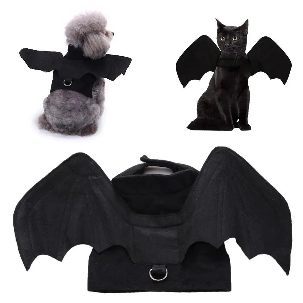 Harnais ailes de chauve-souris – Chat et chien – vue 2 | MonPluto