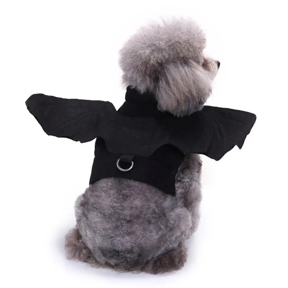 Harnais ailes de chauve-souris – Chat et chien – vue 3 | MonPluto