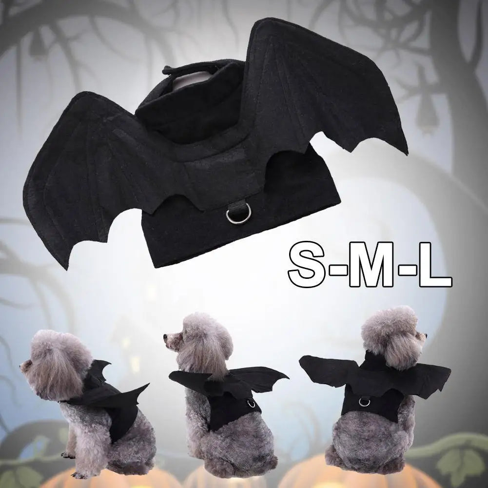 Harnais ailes de chauve-souris – Chat et chien – vue 5 | MonPluto