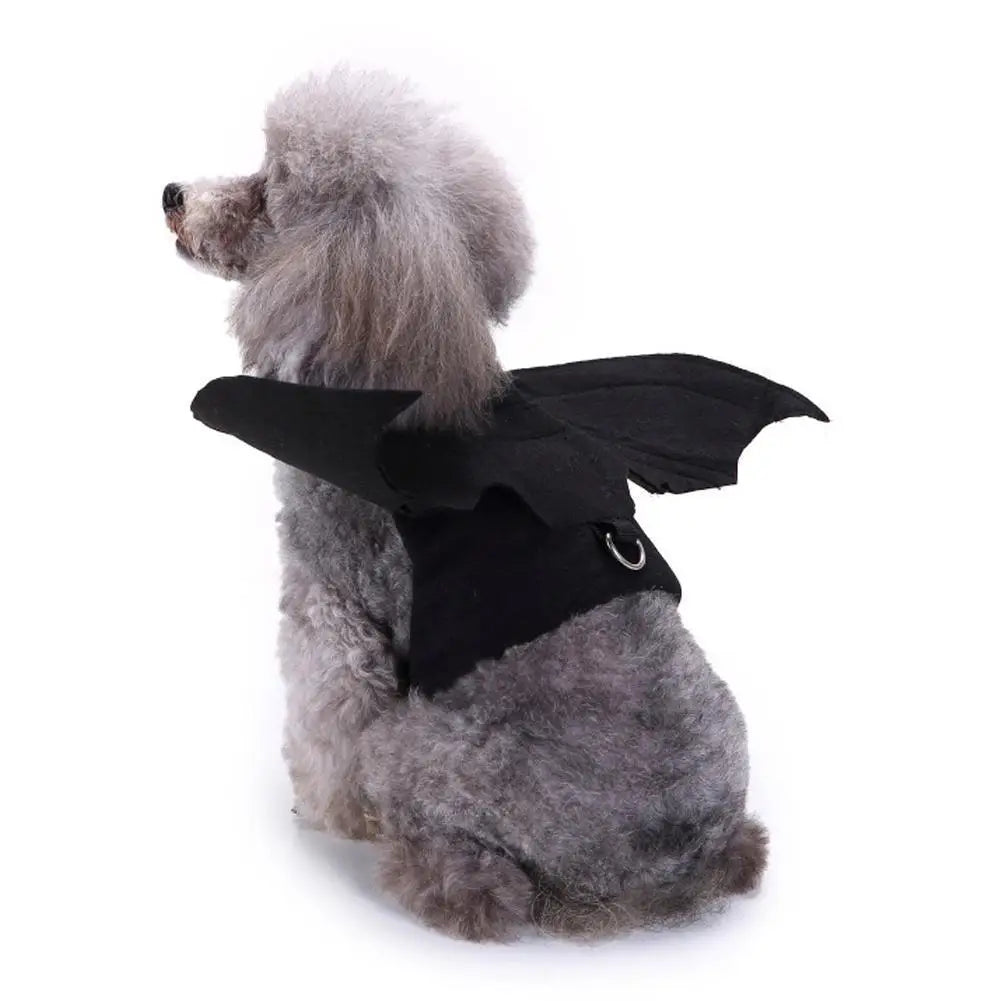Harnais ailes de chauve-souris – Chat et chien – vue 6 | MonPluto