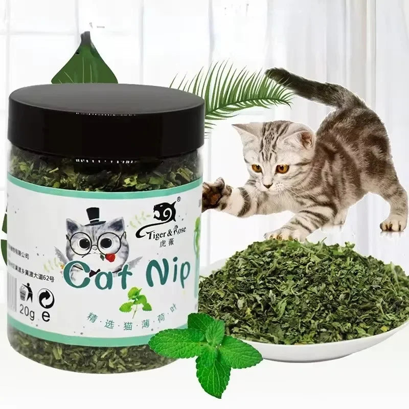 Tous les chats n'y réagissent pas