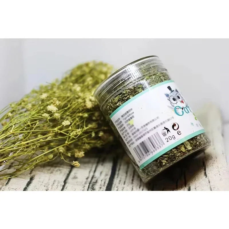 Herbe à chat séchée – Pot de 20 g – vue 4 | MonPluto