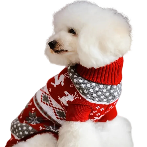 Pull de Noël tricoté chien et chat – Rennes, S à XXL