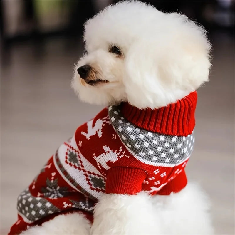 Pull de Noël tricoté chien et chat – Rennes, S à XXL | MonPluto