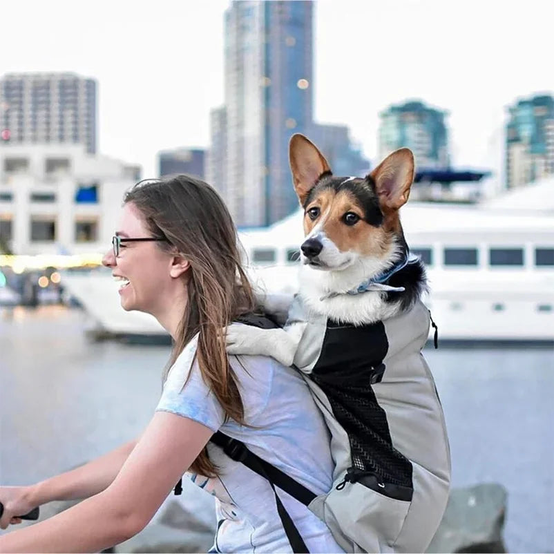 Sac à dos de transport pour chien – Jusqu'à 28 kg – vue 4 | MonPluto