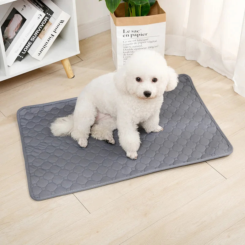 Tapis de propreté lavable chien – Imperméable, 5 tailles – vue 3 | MonPluto